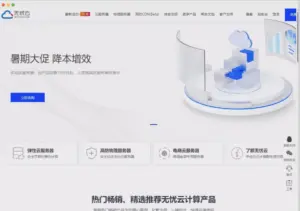 无忧云：暑假特惠深圳BGP物理服务器E5-2650 V2*2/64GB/199元续费同价-微麦兔